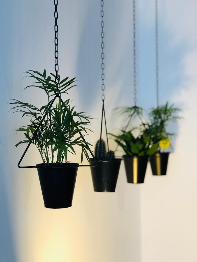 וילה נובה דה גאיה Boreal Porto Gaia - Patio & Pool מראה חיצוני תמונה